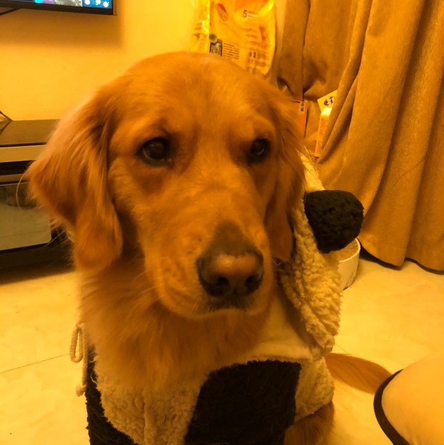 2445887 羅杰___
