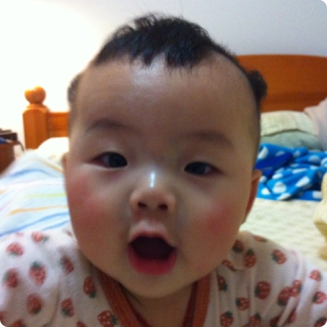 2446140 青