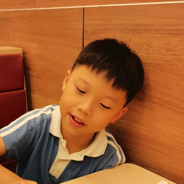 2446870 网上的蜘蛛