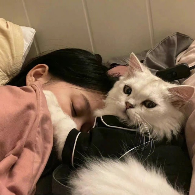 2449119271 张洋洋