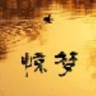 2458319 菲、选择我的爱