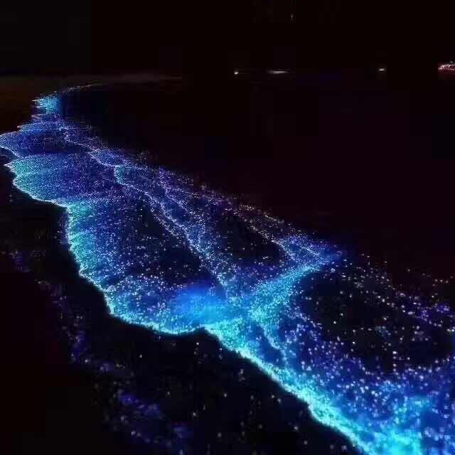 2460079 |.看透ㄋ