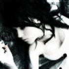 2460422 Sherry
