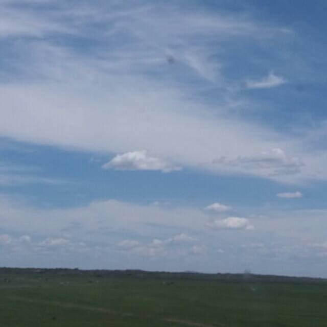 2460533 TJG