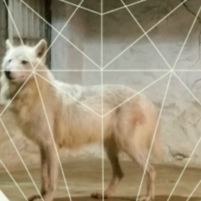2461199 佛圣