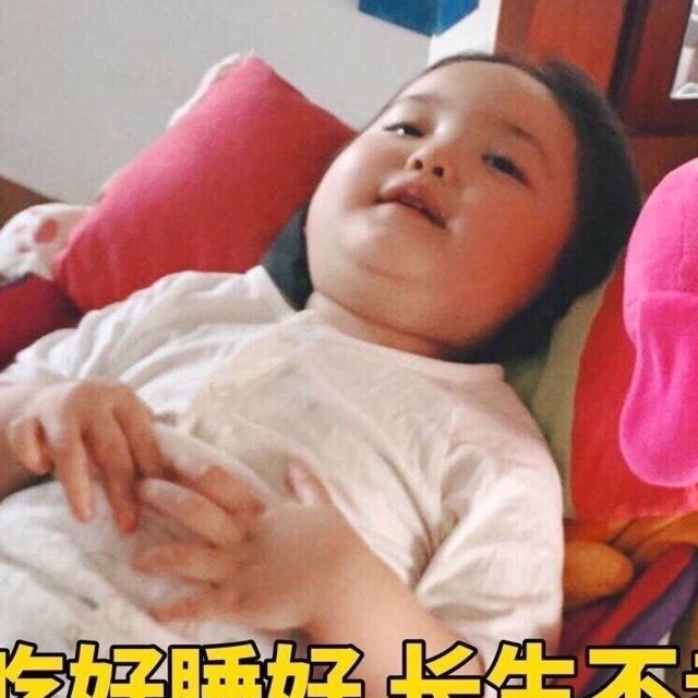 2497992 史前小动物