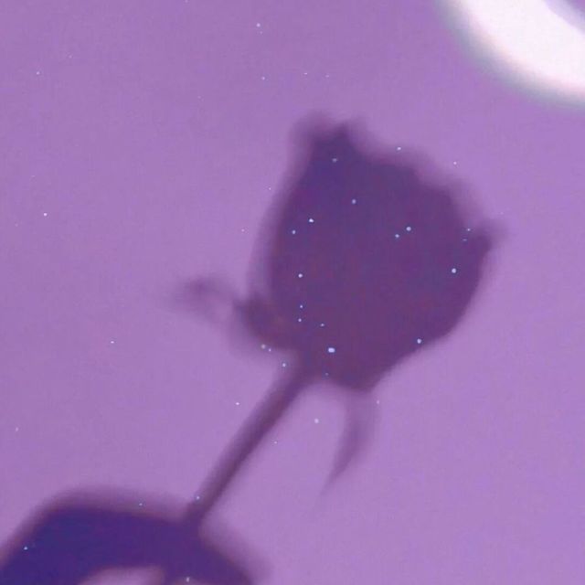 2498480 好心