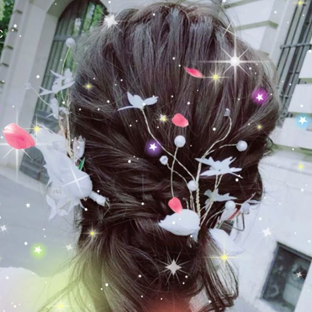2498660 带走回忆