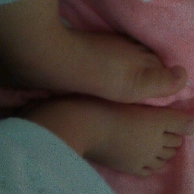 2499256 香格里拉