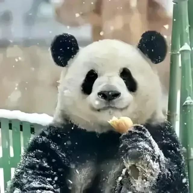 2585571944 坏孩子要坚强，不能哭
