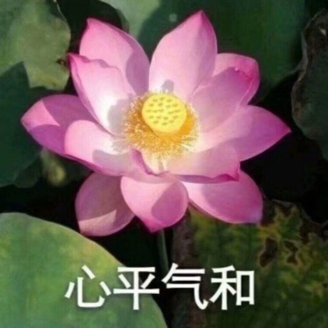 278330 璿