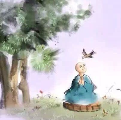 278436 笑红尘