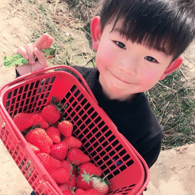 2844654 绝对0℃