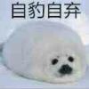 QQ头像