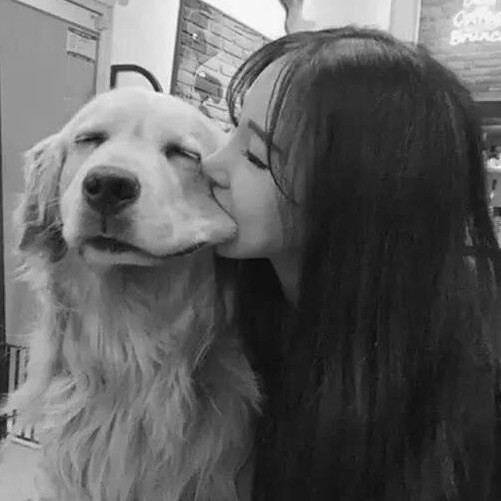 2850937 ✨狗雅婕的饲养员