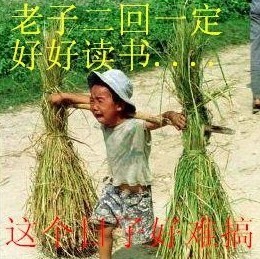 2852308 感觉