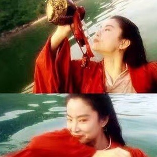 2852458 中联小麦