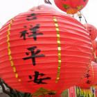 2853194 陶陶老爹