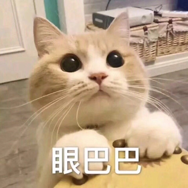 2856828 