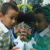 2859748 小鱼