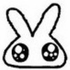 2864986 ♬懵≧3≦懵♫
