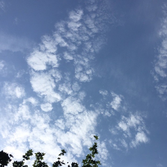 2865201 阿秀