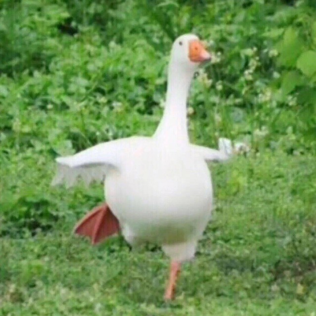 2865959 奶盖❕