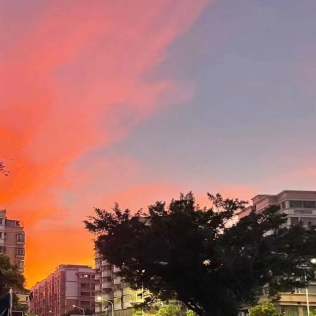 288102 喵～