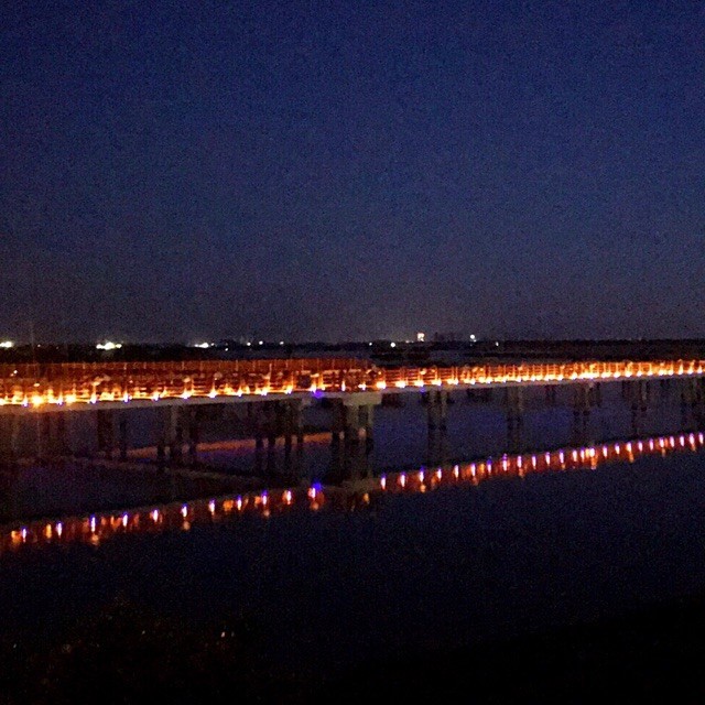288119 刘海涛