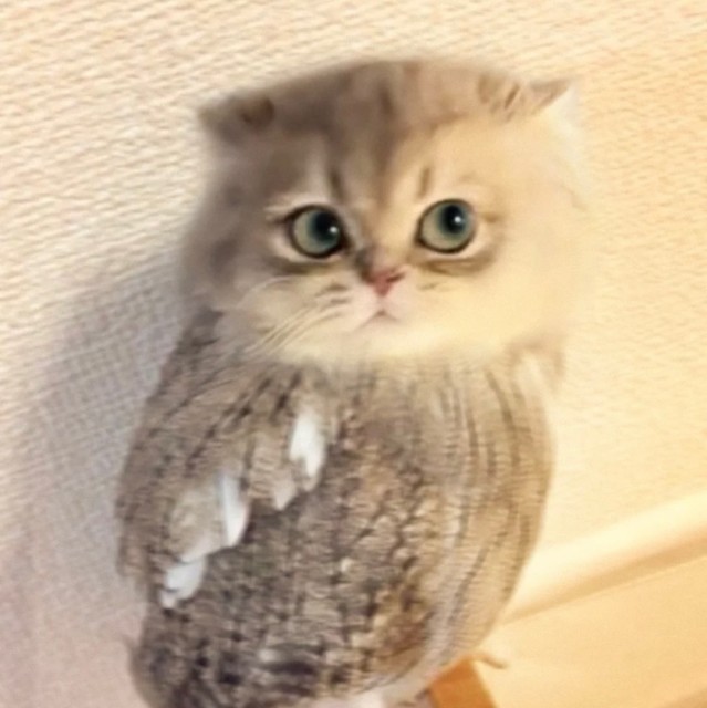 288248  饭特稀