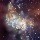 288368 清枫
