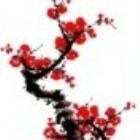 288480 梅雪心