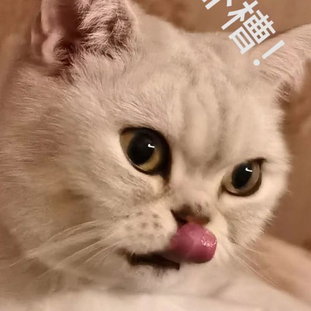 288662 紫色