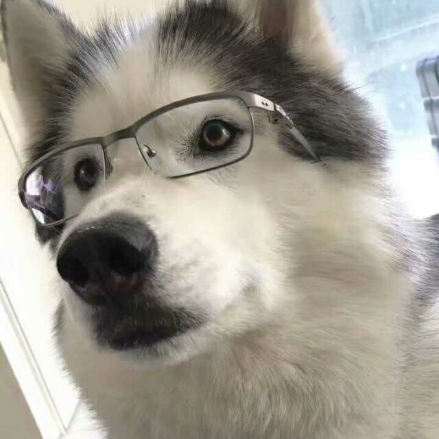 289363 凌乱