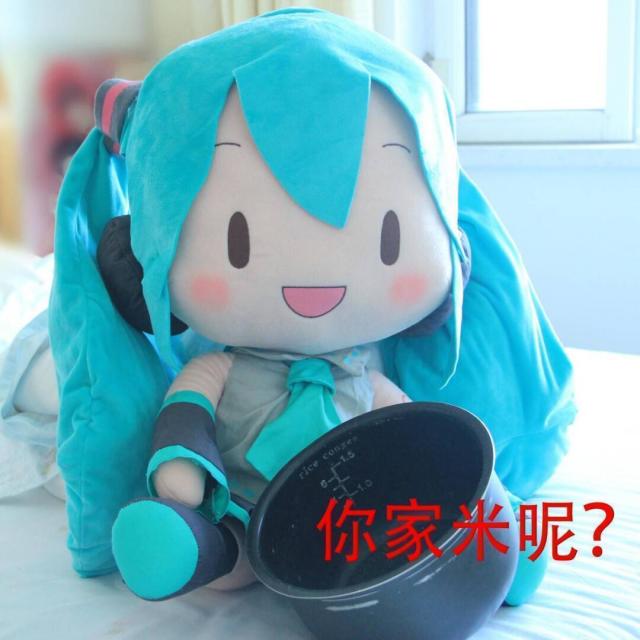 29213 一粒饭