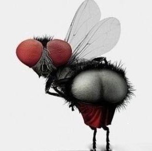 294979 ‭