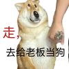 QQ头像