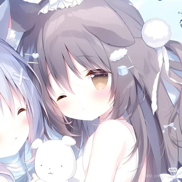 鸽子