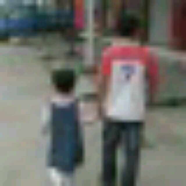 32632 蓝玫