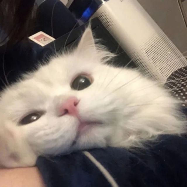 3356800756 ╲血樱゛安一染乄沐辰