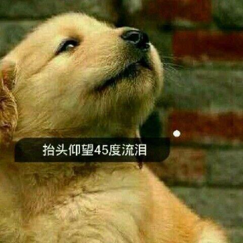 346786096 没心没肺