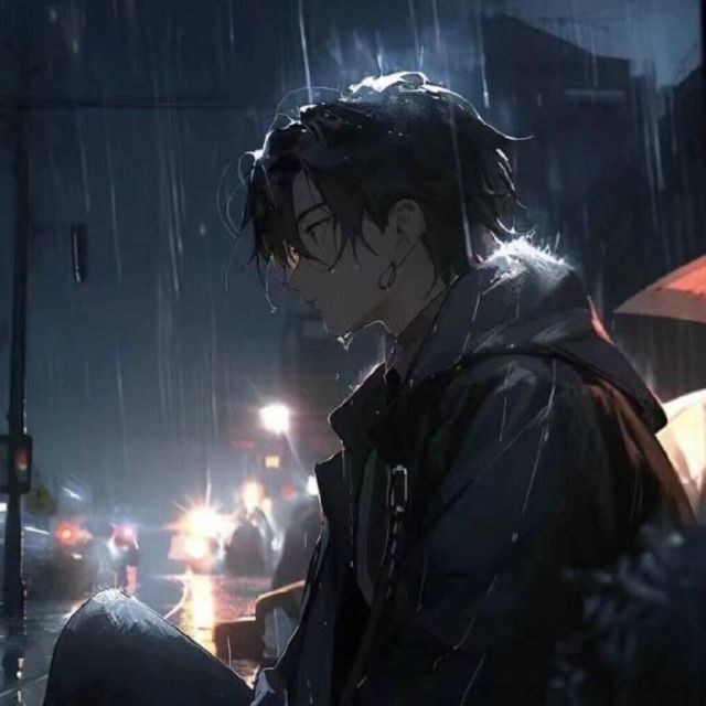 35531 35531