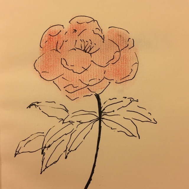 35689 吕林