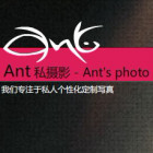 374498 蚂蚁
