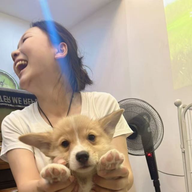 374746 壮生纺织-小伟