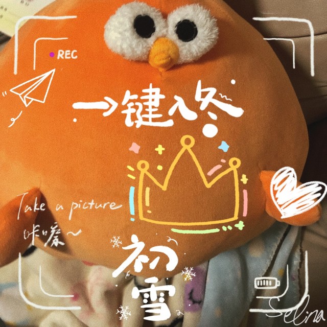 423581 ︾焦焦︽