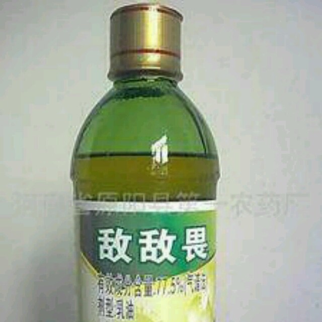 423693 敌敌畏