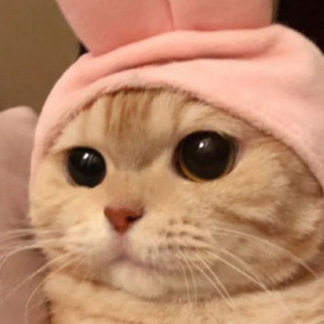 423770 天梯