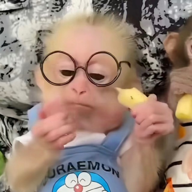 44444444443 