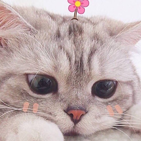 451102 ❥゛Ｃhinａ四 哥＂✿